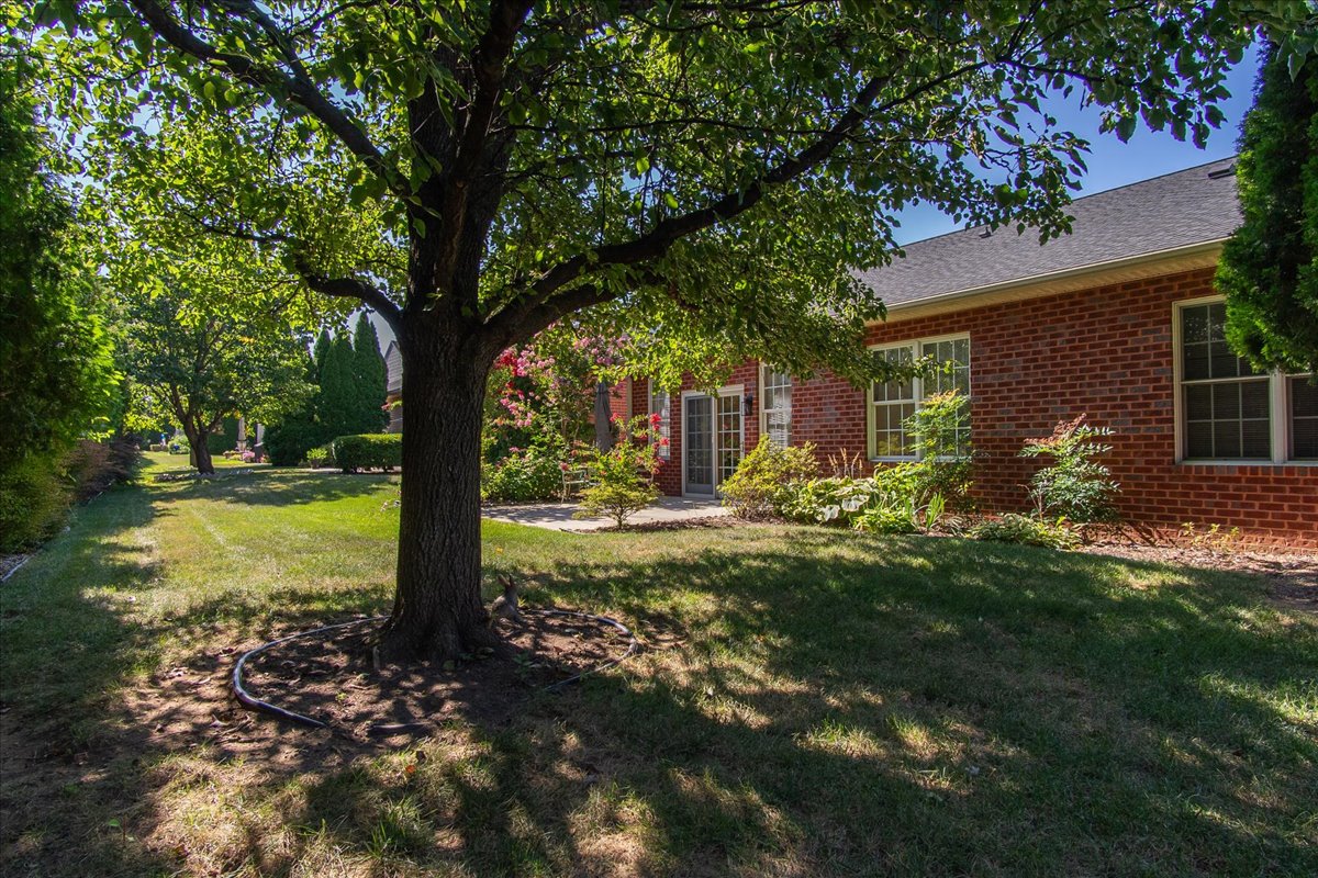Image of a property