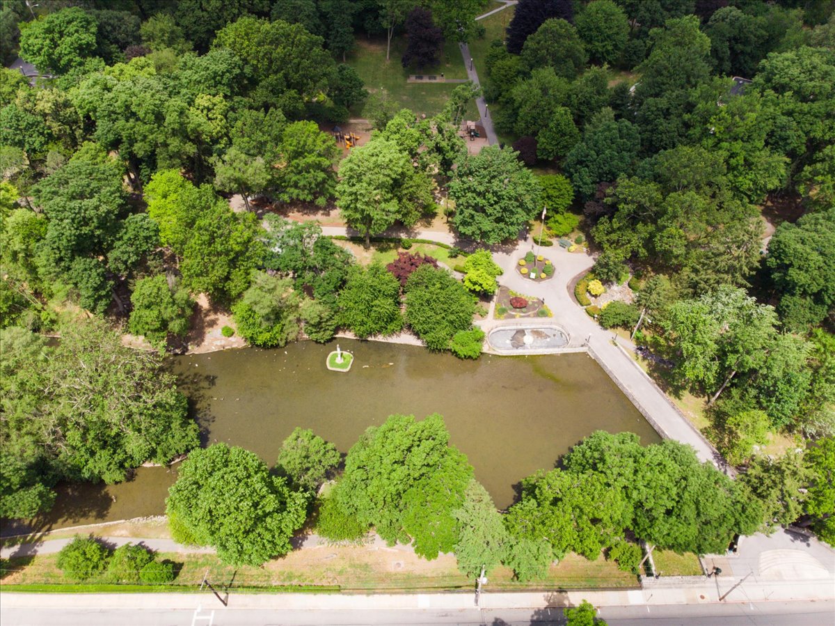 Image of a property