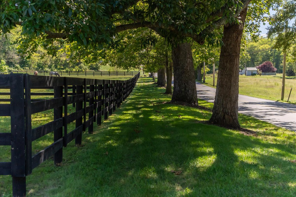 Image of a property