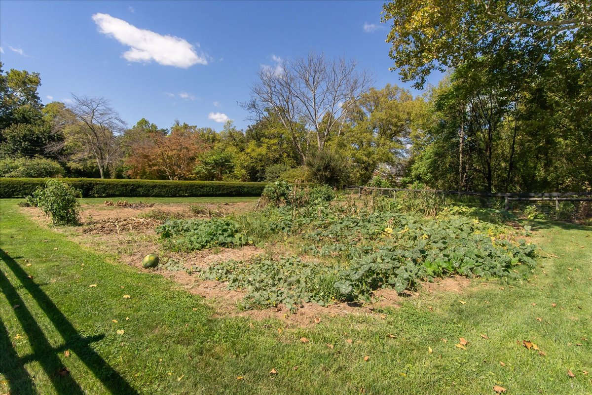 Image of a property