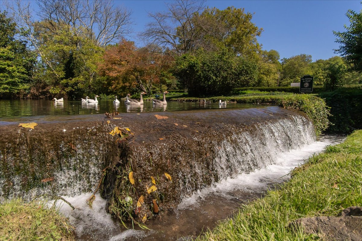Image of a property