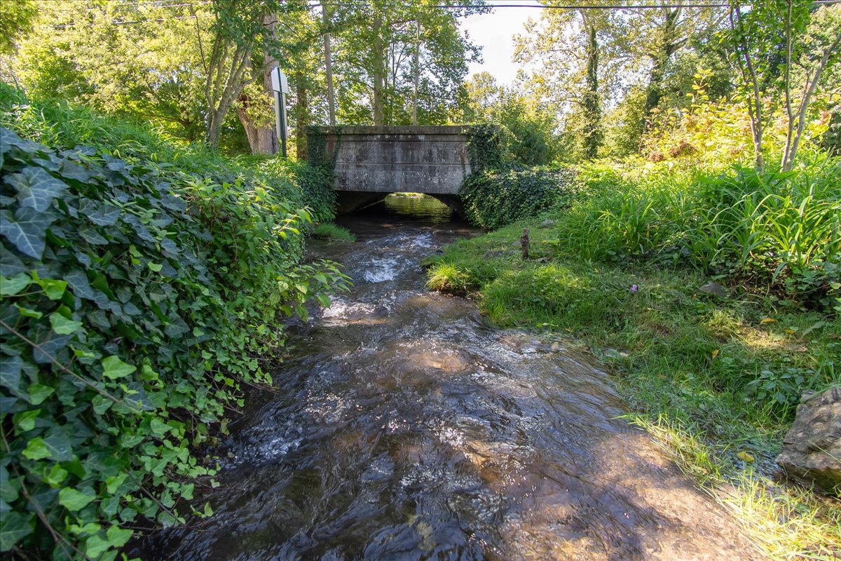 Image of a property