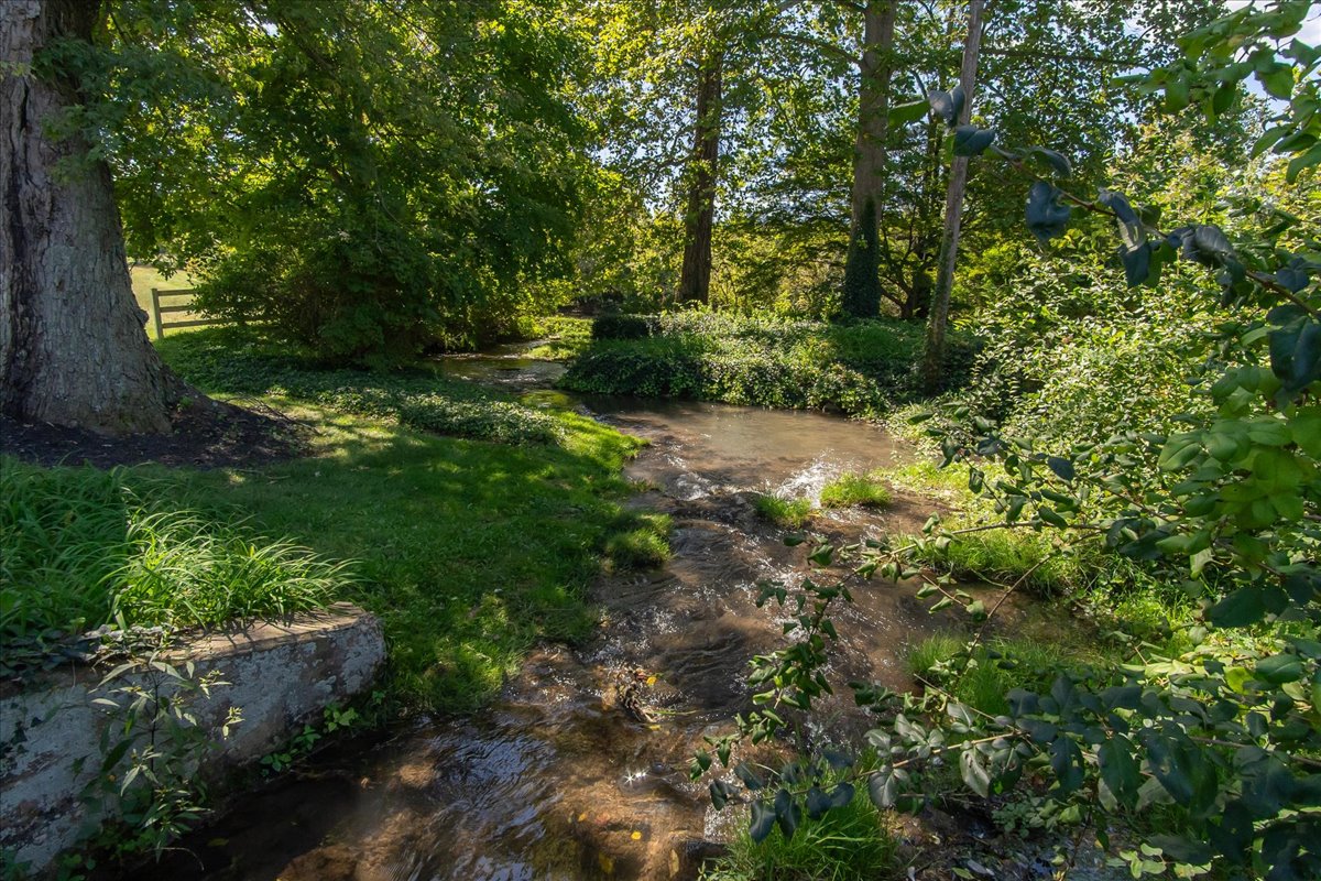 Image of a property