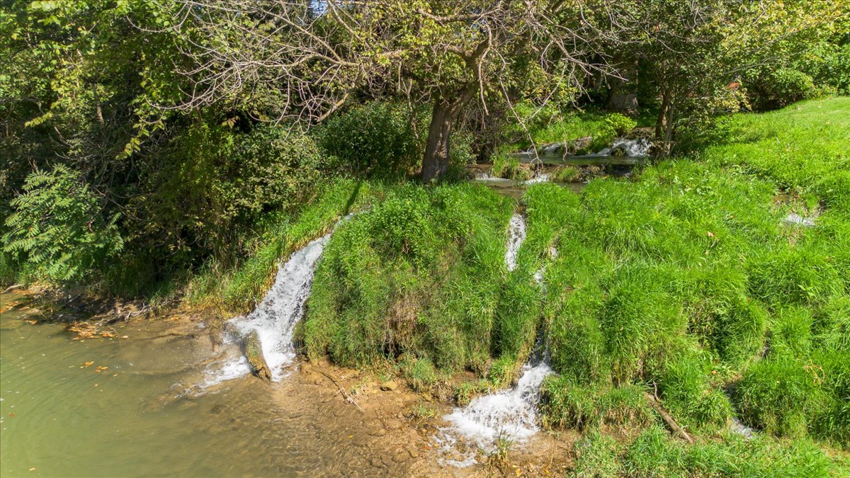 Image of a property