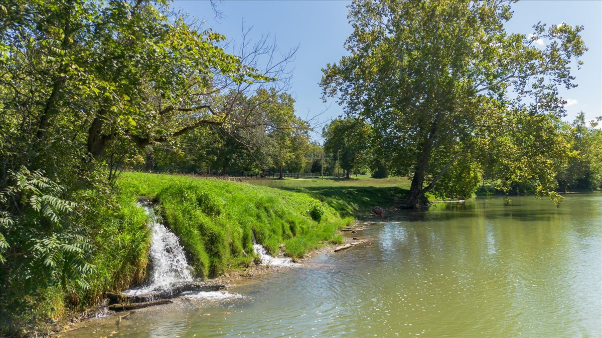 Image of a property
